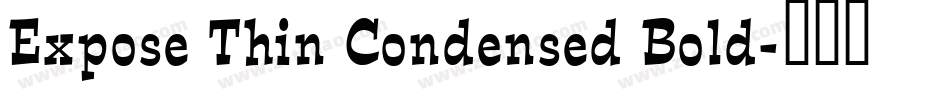 Expose Thin Condensed Bold字体转换